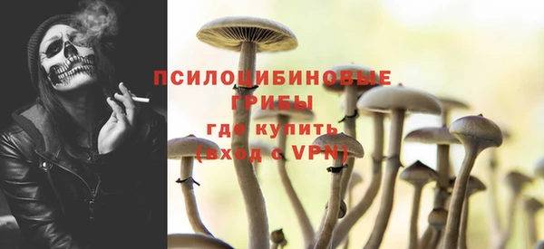 не бодяженный Нязепетровск